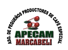 logo_apecam